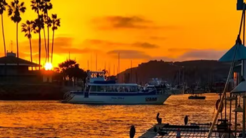 vitalgigs-dana-wharf-sunset-wine-cruise-live-music-schedule