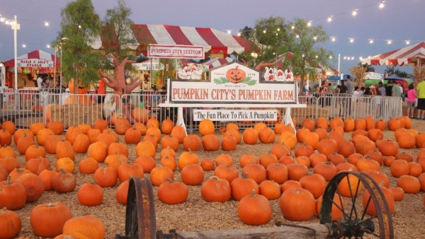 Laguna Hills Pumpkin Patch